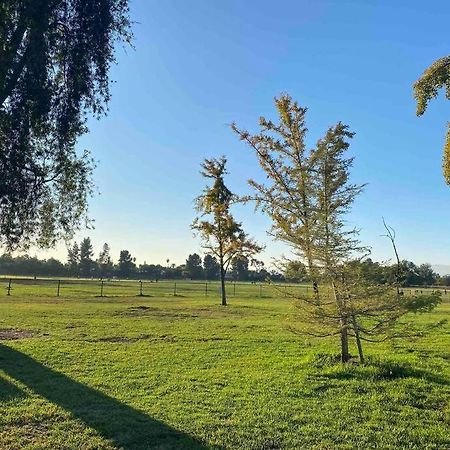 Hidden Gem La 2Bd House With Dreamy Backyard Villa Los Angeles Buitenkant foto
