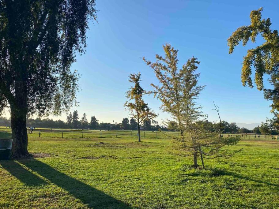 Hidden Gem La 2Bd House With Dreamy Backyard Villa Los Angeles Buitenkant foto